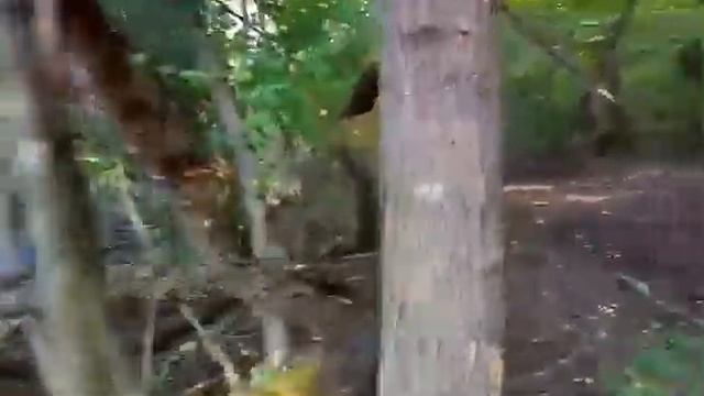 Жажда жизни. Рябина смотреть онлайн