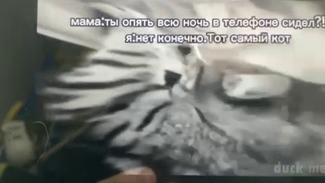 Кот гигачат