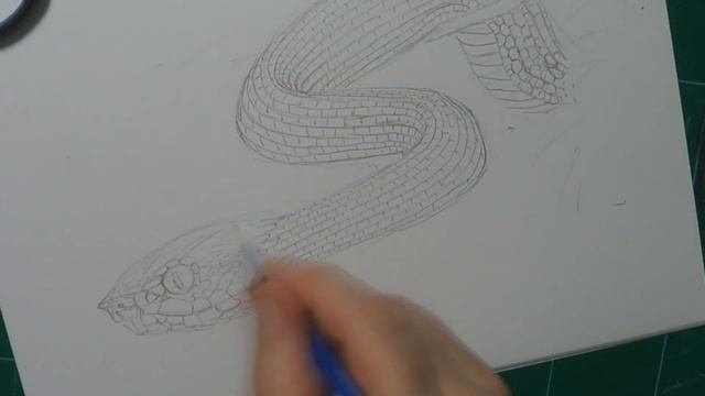 HOW TO DRAW SNAKE SCALES (ADVANCED) with Wagler's Pit Viper смотреть онлайн