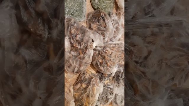 Заготовки на зиму/обзор морозильной камеры смотреть онлайн