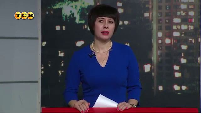 Содержание одной собаки на пункте передержи обходится в 21 рубль ежедневно смотреть онлайн