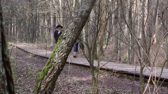 Куршская Коса 2015 смотреть онлайн