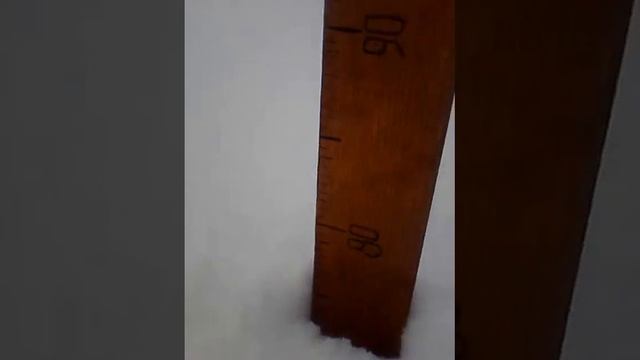 ВСЯ ПРАВДА О СНЕГОХОДЕ ИРБИС МУХТАР смотреть онлайн