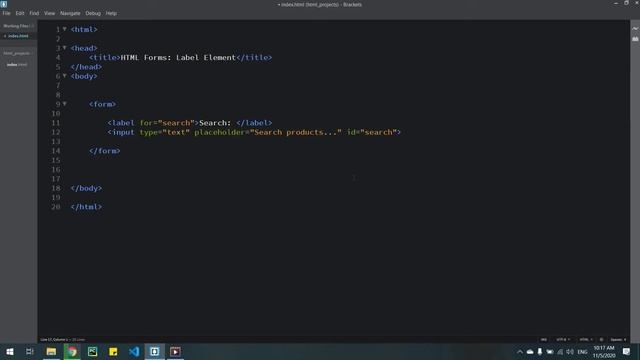 HTML Beginner Course Part 09: How to use Form Label in HTML смотреть онлайн