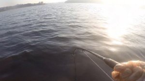 подход сома на квок эхолоте Lowrance, сом на квок в озере осенью