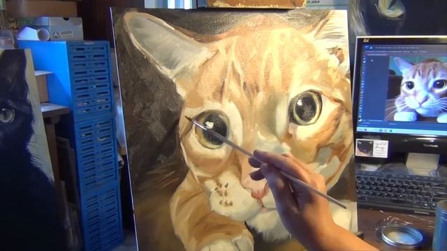 Speed Painting - Marmalade the Cat смотреть онлайн