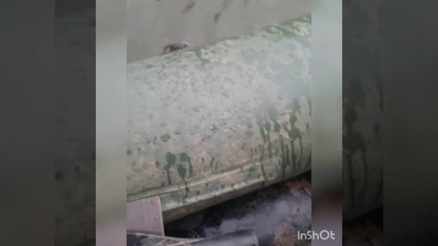 Как , На что и в что лучше ловить раков осенью !!! смотреть онлайн