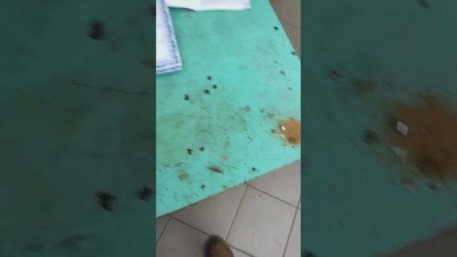 насос AQUOR, ОМА Бобруйск. не работает. Оборудование исправно