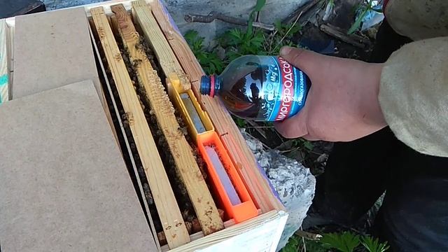 Кормушка для нуклеуса на 3D-принтере. Постановка. Проба. смотреть онлайн