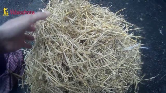Подстилка для собак! Videoohota смотреть онлайн