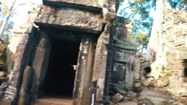 Я Путешествую По Камбодже С Девушкой! Храм Анджелины Джоли.Ta Prohm temple , Bayon temple.Cambodia смотреть онлайн