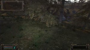 Тайники Старожила в Красном Лесу. ОП-2.1.