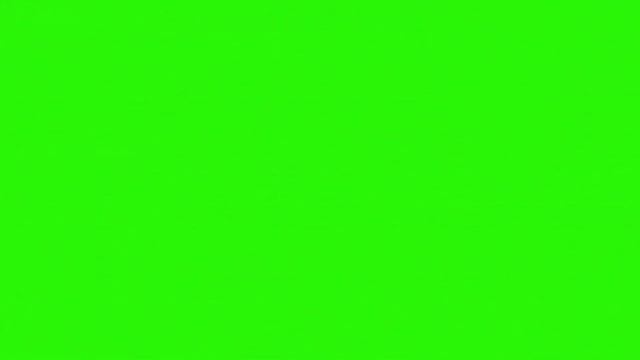 Футаж "Лепестки сакуры" смотреть онлайн