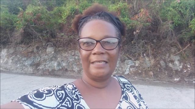 My Big Leaf Thyme Herb Plant | Broad Leaf Thyme | Cuban Oregano | Podena | Spanish Thyme смотреть онлайн