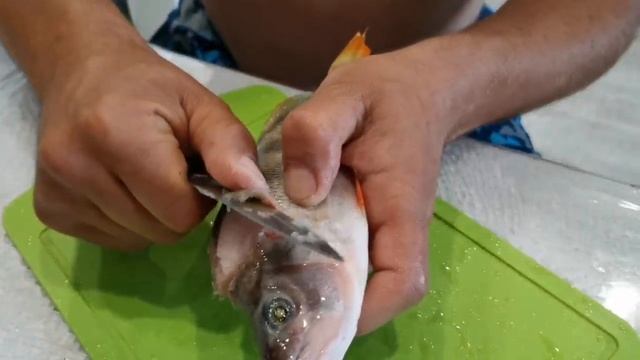 Как правильно почистить окуня за полторы минуты, не разбрасывая чешую! смотреть онлайн