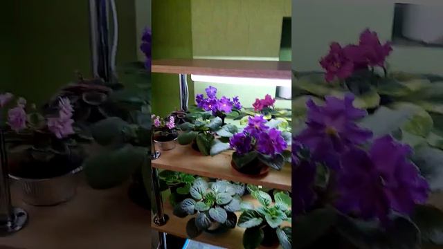 Своими руками новый стеллаж. смотреть онлайн