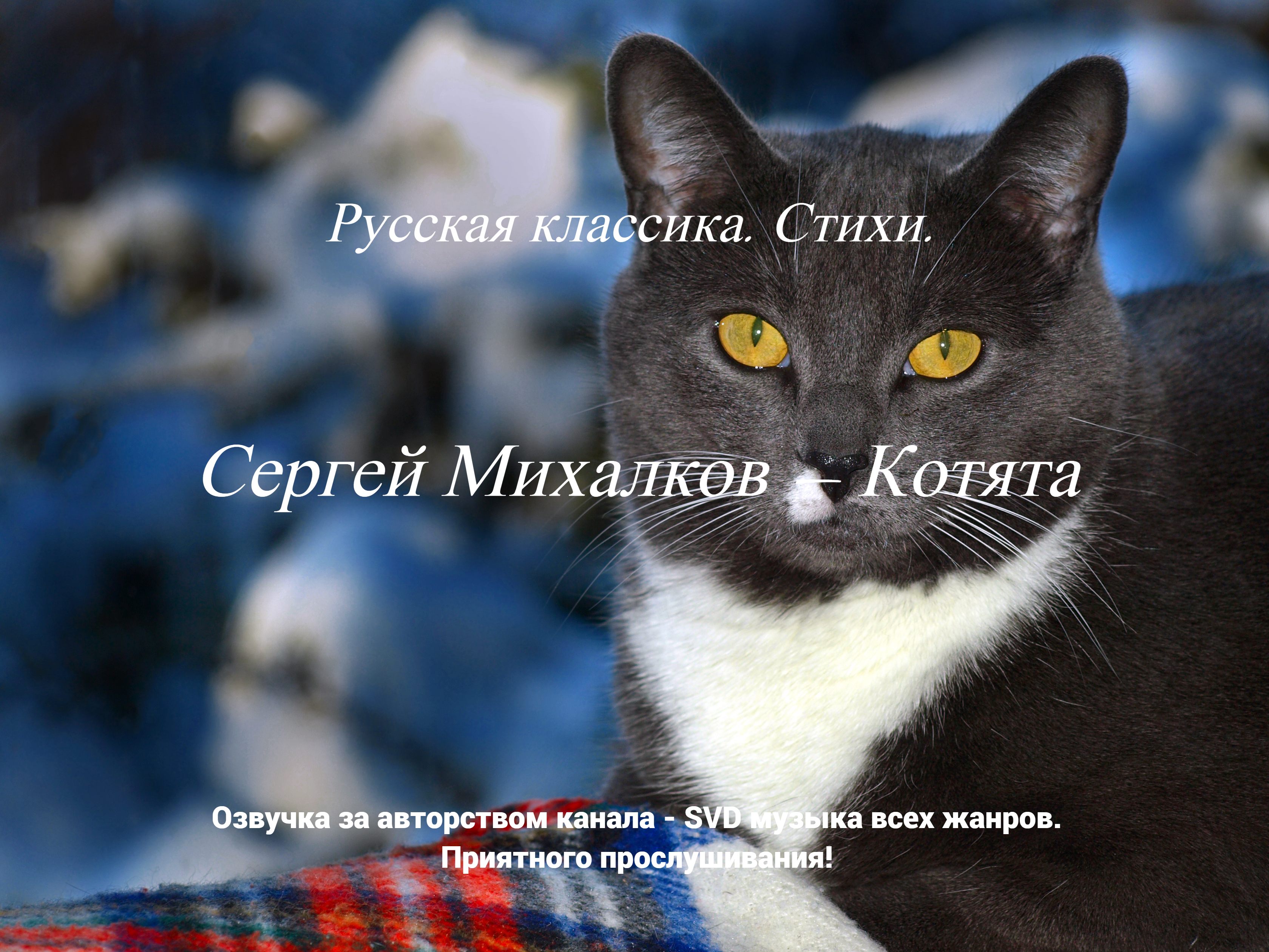 Русская классика. Стихи. — Сергей Михалков — Котята. смотреть онлайн
