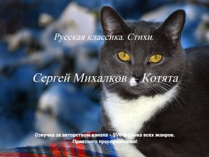 Русская классика. Стихи. — Сергей Михалков — Котята.