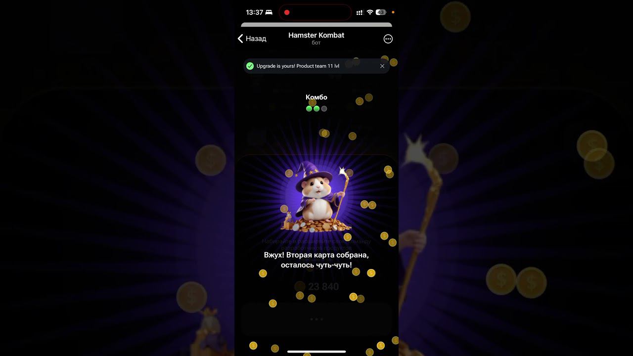 Новое комбо в Hamster Kombat: карты, секреты и как найти комбо карты сегодня в хомяке 14 июня 2024 смотреть онлайн