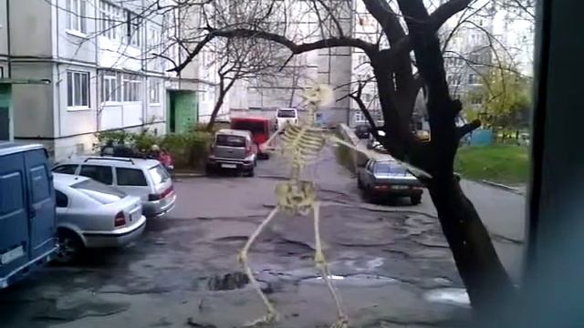 скелет попал на некрасова 99 смотреть онлайн