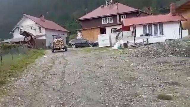 progarden 13cp ....chinezul meu cel harnic.....??? смотреть онлайн