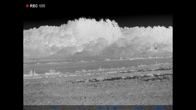 PULSAR Helion 2 XP50 Pro Im Test