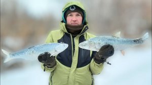 Ловля ЖЕРЕХА .Зимняя РЫБАЛКА. Река ЛЕПСЫ. 25 января 2022 года. Глухих.