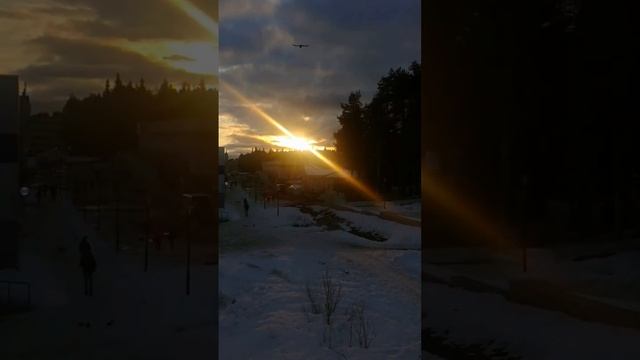 Солнечный вечер весенние солнышко #слава10rus #слава10Rus #вечер #солнечный #вес