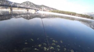 Маховая удочка Goture Поплавочная снасть