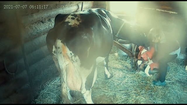 У нас двойня!!!!!!! смотреть онлайн