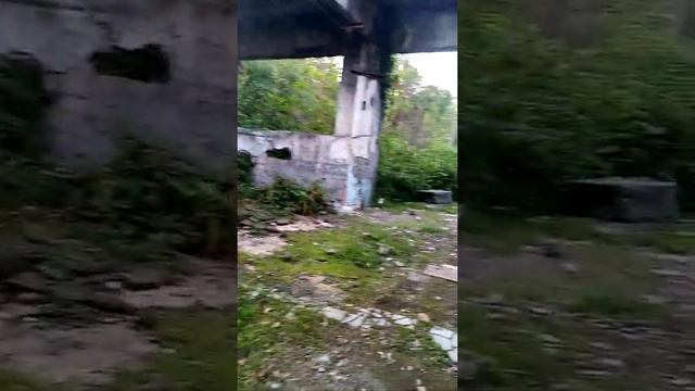 Эвкалиптовая роща. Агудзера.