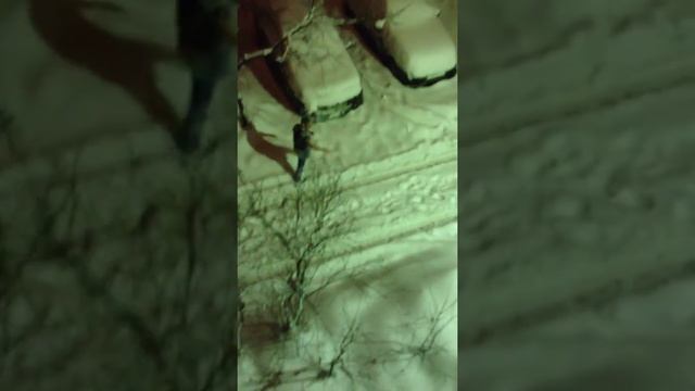 Снегоход) смотреть онлайн