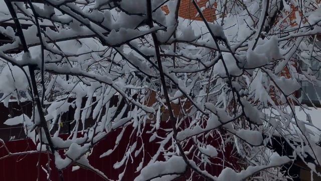 АНАПА ПОД СНЕГОМ | ЗИМНЯЯ ОБРЕЗКА КИВИ | Семейный VLOG смотреть онлайн