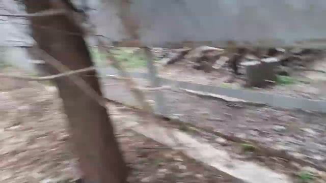 КРАСНАЯ ЛУНА ВЫЗВАЛА ДУХОВ НА ПЛАНЕТУ? ЧТО СЛУЧИЛОСЬ С ЛАЙДЕРОМ?! **ЧАСТЬ 1** смотреть онлайн