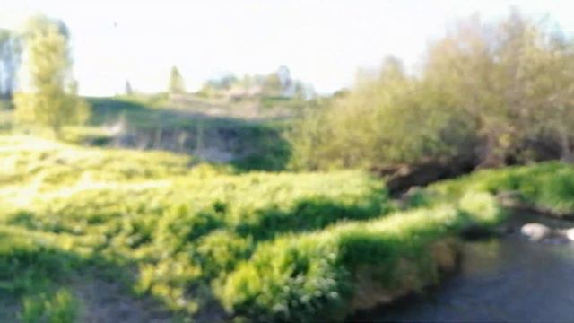Река Кикенка у Стрельны. 22.05.2022. смотреть онлайн