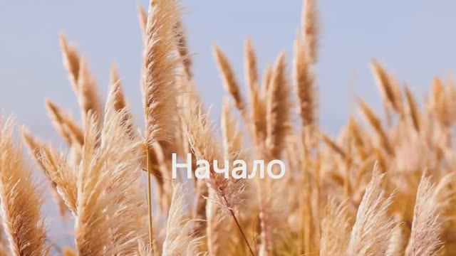 Начало смотреть онлайн