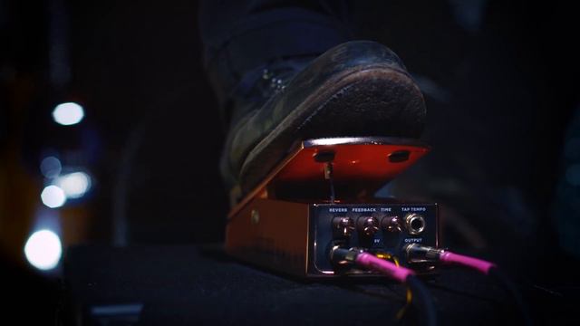 Ernie Ball Ambient Delay Expression Pedal (Dhani Harrison Demo)