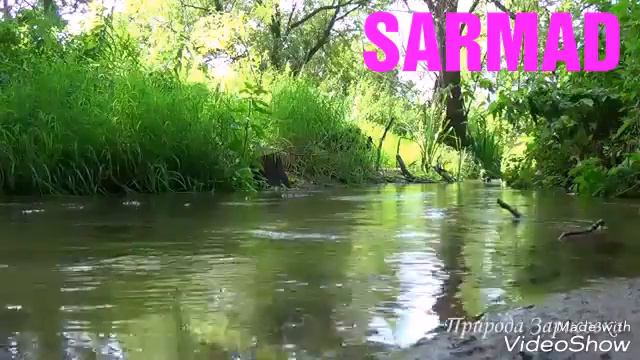 Устод Лоик Шерали &&& Таронахо смотреть онлайн