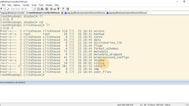 63 ClickHouse备份 手动实现备份及恢复 смотреть онлайн