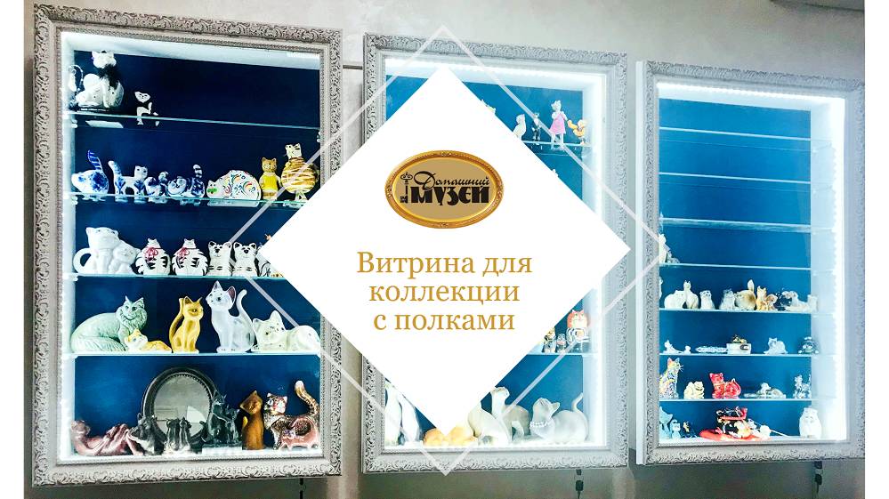 Витрина для коллекции с полками - обзор с примерами материалов смотреть онлайн