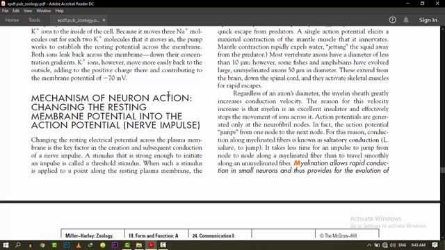 COMMUNICATION - STRUCTURE AND FUNCTIONS OF NEURONS смотреть онлайн