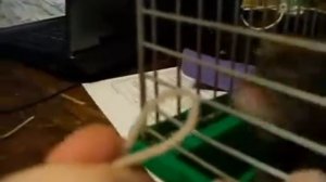 Почему пропадает интернет от Ростелеком