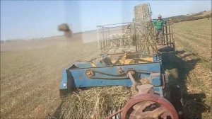 Пресс-подборщик Киргизстан. Как я прессовал суданскую траву