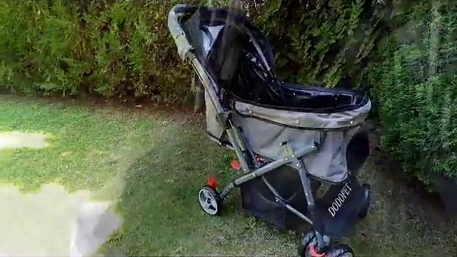 Обзор коляски для животных до 25 кг. DODOPET смотреть онлайн