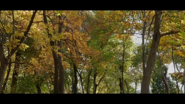 Поль Марі Верлен "Осіння пісня". 10 клас смотреть онлайн
