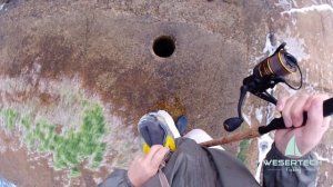 Рыбалка на ставриду в Черном море. Ставрида как поймать на самодур. Снасть на ставриду.