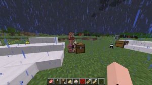 Топ 5 названий для бирок чтобы изменить моба в майнкрафт!