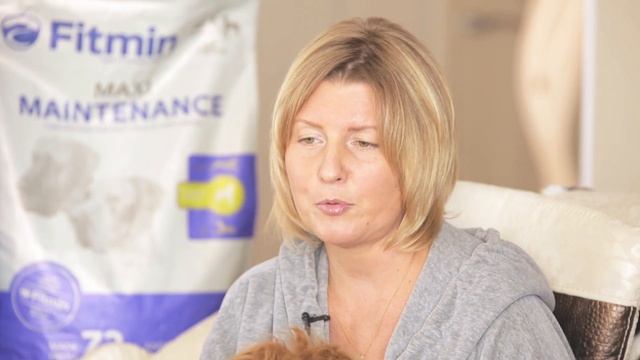 Австралийский лабрадудель или коббердог. Рационы Фитмин. смотреть онлайн