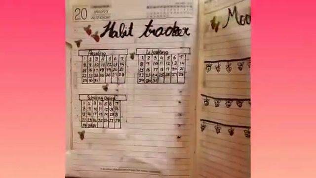 Bullet journal part 2 || May journal || Hi Haya Mariya Dikson смотреть онлайн