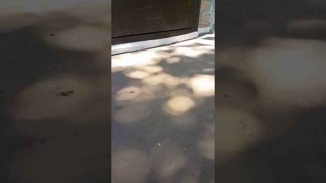 Красим Трафаретом "под кафель" бетонное крыльцо дома смотреть онлайн